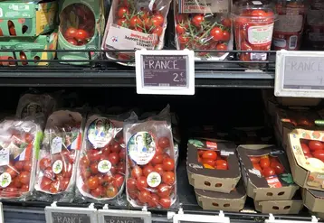 <em class="placeholder">Un rayon de tomates cerises en GMS.</em>