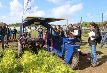 <em class="placeholder">L’enjambeur Romanesco est très polyvalent.</em>