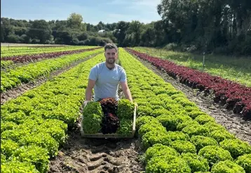 <em class="placeholder">Adrien Gergaud, maraîcher au Potager de Tremer dans le Morbilhan.</em>