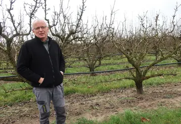 <em class="placeholder">Marc Fauriel, producteur de poires bio à Loriol sur Drôme devant un verger de la variété Conférence, âgé de quinze ans.</em>