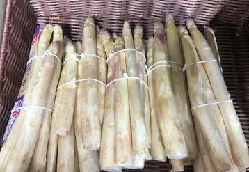 <em class="placeholder">Des bottes d'asperges dans le rayon légumes d'une grande surface. </em>