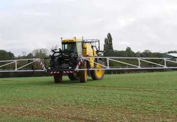 <em class="placeholder">Traitement herbicide sur colza en post-levée contre adventices et repousses de céréales à l'automne en Vendée, le 3 octobre 2022</em>