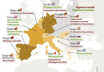 <em class="placeholder">Les organismes nuisibles réglementés, ou organismes de quarantaine, les plus dommageables pour les légumes et proches de l'installation en France métropolitaine</em>
