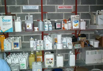 <em class="placeholder">Local phyto. Stockage des produits phytosanitaires par catégories : insecticides, régulateurs et adjuvants. Bidons et cartons rangés sur des étagères. Pesticides .</em>