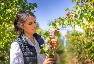 <em class="placeholder">Sarah Monteux, responsable administrative et commerciale du groupement de producteurs Terre de Crau – Mas Saint Paul, psoe dans un verger, dans les Bouches-du-Rhône. </em>