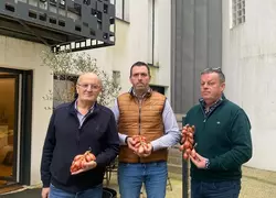Concernant l'échalote traditionnelle, Adrien Corre (au centre), Eric Porhel (à droite) et Bernard Cadiou lancent un appel aux politiques pour qu’ils fassent appliquer la ...