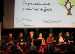 Marc Fesneau et Agnès Pannier-Runacher n'ont pas apporté de réponses convaincantes aux participants du 77e congrès de la FNPFruits. 