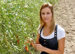 <em class="placeholder">« Nous avons fait le pari de planter 2,5 hectares de baies de goji alors que personne ne pouvait vraiment nous guider », explique Nancy Crivellaro, arboricultrice à ...</em>