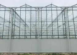 <em class="placeholder">Rénovation des serres : les avantages apportés par le rehaussement</em>