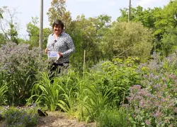 <em class="placeholder">« Les restaurateurs intègrent de plus en plus de fleurs dans leurs assiettes », assure Pauline Dominicy.</em>