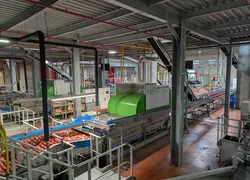 <em class="placeholder">Ligne de conditionnement avec des pommes de la station fruitière de Pomanjou à Verrières-en-Anjou dans le Maine-et-Loire.</em>