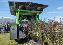 <em class="placeholder">Harvy 500, la récolteuse à myrtilles électrique de Fine Feld</em>