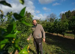 <em class="placeholder">Cédric Sanchez, arboriculteur à l'Ile-Sur-Têt dans les Pyrénées-Orientales.</em>