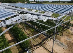<em class="placeholder">Démonstrateur agrivoltaïque du site Invenio de Sainte-Livrade-sur-Lot.</em>