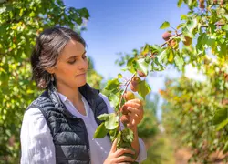 <em class="placeholder">Sarah Monteux, responsable administrative et commerciale du groupement de producteurs Terre de Crau – Mas Saint Paul, psoe dans un verger, dans les Bouches-du-Rhône. </em>