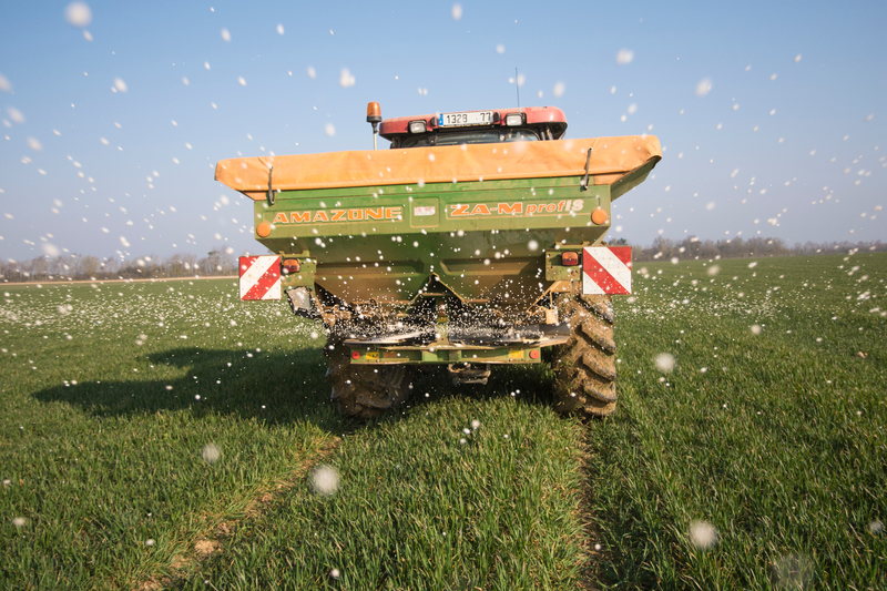 Fertilisation azotée sur blé : quelle stratégie adopter dans ce contexte ?