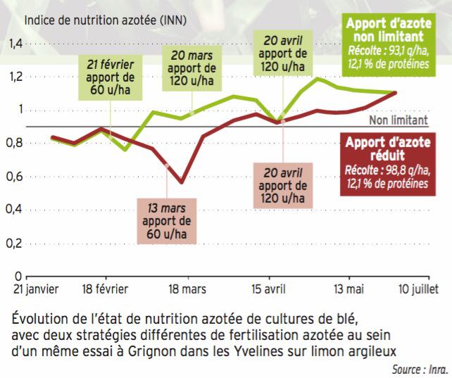 Fertilisation azotée : atout rendement et qualité