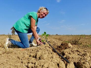 <em class="placeholder">Corinne Obert agricultrice Tincourt-Boucly</em>