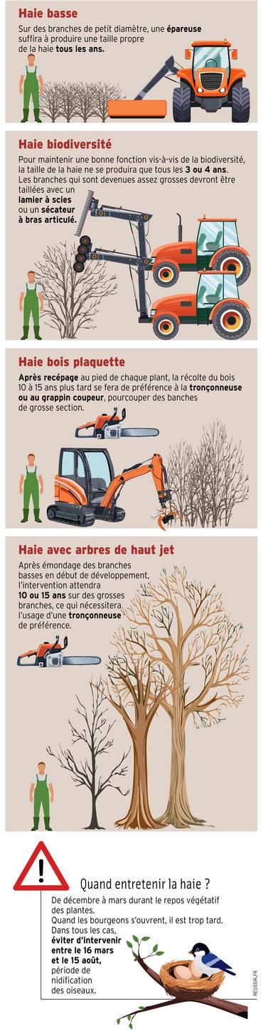 Type de matériel à utiliser pour entretenir une haie selon le type de haie