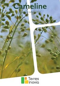 <em class="placeholder">Nouveautés cultures : de nouvelles orges pour la filière brassicole et une dérogation contre la cercosporiose</em>