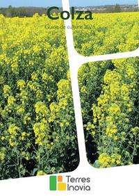 <em class="placeholder">Nouveautés cultures : de nouvelles orges pour la filière brassicole et une dérogation contre la cercosporiose</em>