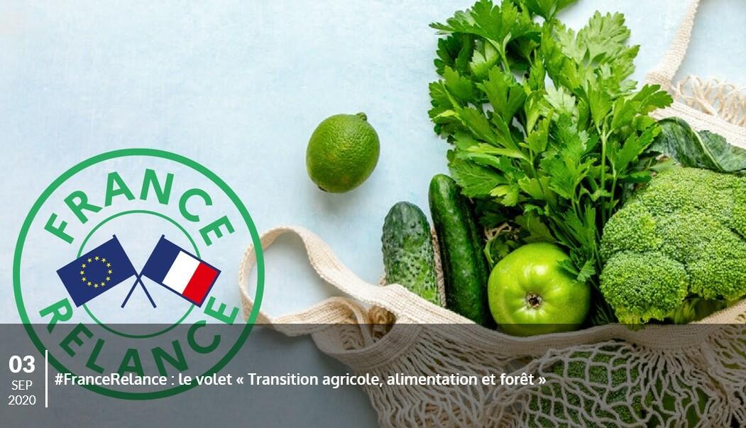 Plan de relance/agriculture 1,2 milliard d'euros pour la