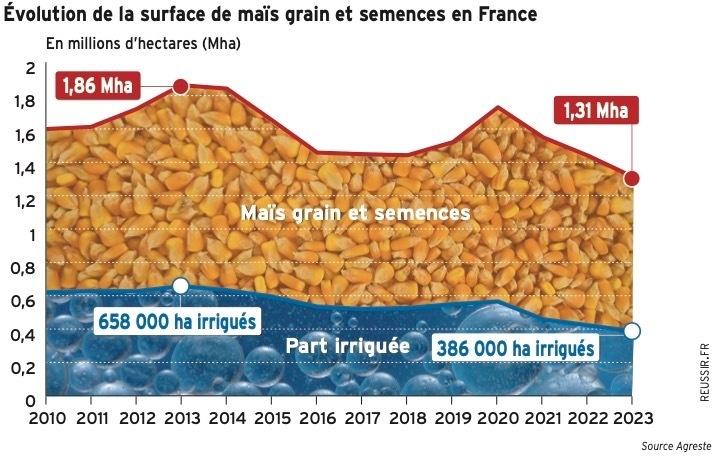 Maïs Grain Lévolution De La Production Française Expliquée En Cinq Points Réussir Grandes