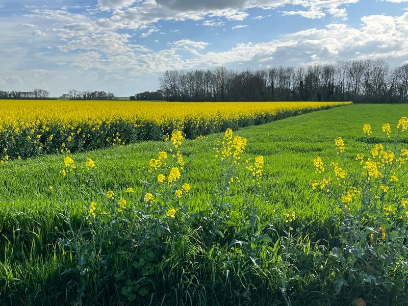 PAC et DPB les six points à retenir avant de faire un transfert