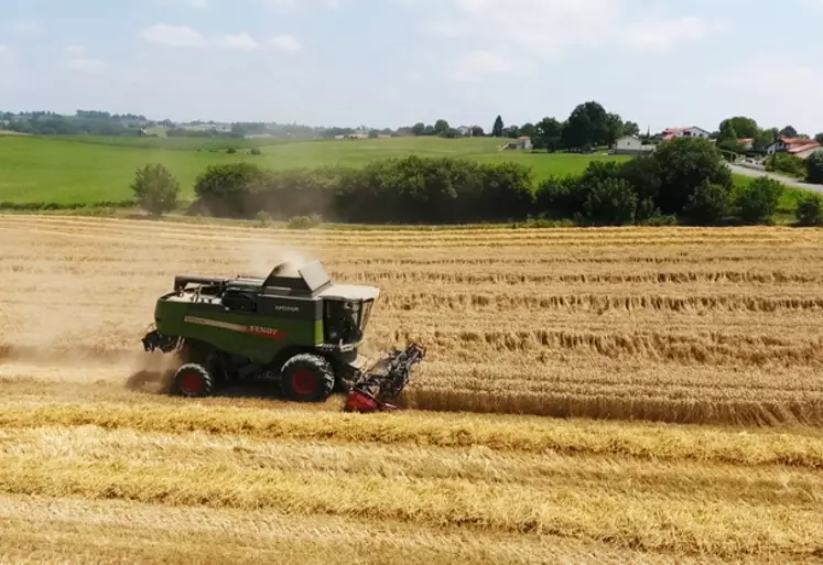 Le blé reprend du terrain petit à petit dans le Pays Basque. © Herriko Ogia