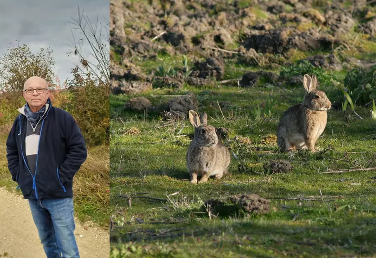 « Suite à des dégâts de lapins sur orge en 2020, j’ai signalé le problème à mon assureur avec les coordonnées du propriétaire, et un expert est venu effectuer des mesures pour établir le montant de l’indemnisation. », explique Pierre Durand.