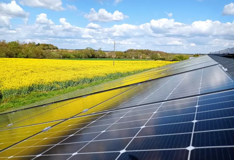 Panneaux photovoltaïques sur bâtiment agricole avec un champ de colza en arrière plan