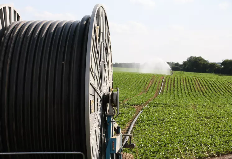 L' irrigation des pommes de terre est indispensable pour assurer une qualite et un rendement optimal. Consommation d' eau par les agriculteurs. Enrouleur. Matériel. Besoins des cultures. tuyau