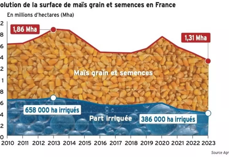 Maïs grain : l'évolution de la production française expliquée en cinq points