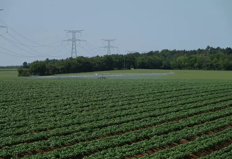irrigation avec rampe de pomme de terre plantée en billons (trois rangs) dans le sud de l'Essonne en Ile-de-France fin mai (printemps)