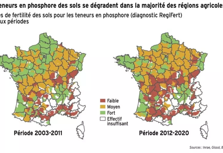 Fertilisation : Le phosphore fait défaut dans les sols cultivés en France