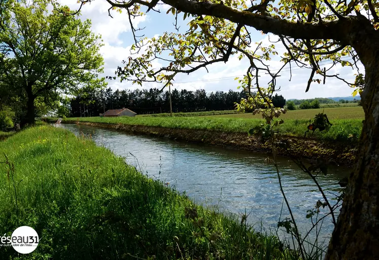 Le canal de Saint-Martory, qui longe la Garonne de Saint-Martory à Toulouse, alimente déjà de nombreux cours d’eau et fossés et est utilisé l’été pour ...
