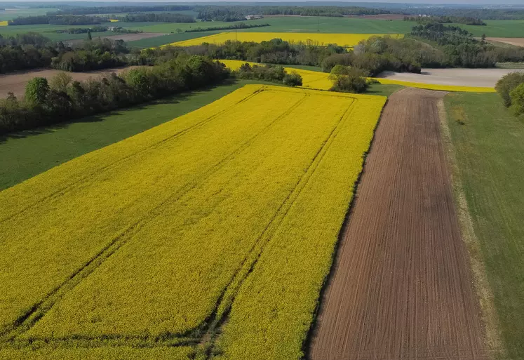 Vue aérienne de parcelles dans le sud de la Seine-et-Marne.