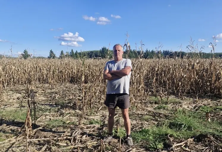 <em class="placeholder">Thierry Brizio, agriculteur à Castelsarrasin et Saint-Porquier (Tarn-et-Garonne)&quot;Les ronds de dégâts de sangliers amènent le développement de plantes indésirables comme ...</em>