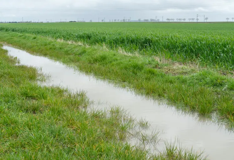 <em class="placeholder">Bord de champ inondé après un excès de pluie en bordure d&#039;un champ de céréales. Avril 2024 dans le nord de l&#039;Eure-et-Loir</em>