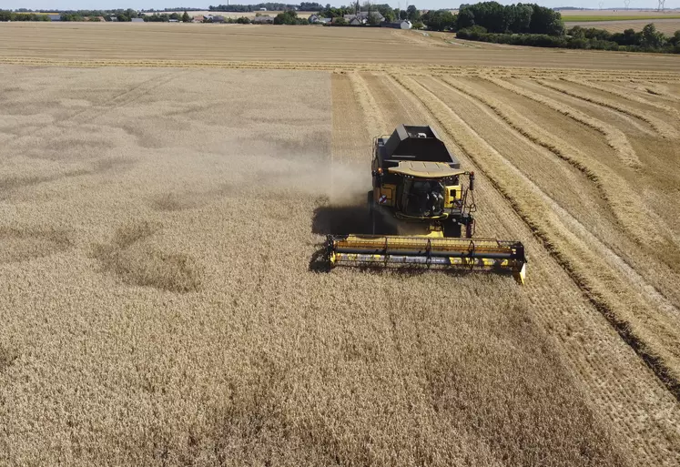 Moisson dans l' Indre près d' Issoudun le 7 juillet 2022. Récolte de blé tendre particulièrement précoce, avec du blé Cesario. Les taches sur la gauche sont des " chaufferettes" , zones de faible rendement liées aux conditions trop sèches et chaudes là où le sol est plus superficiel.