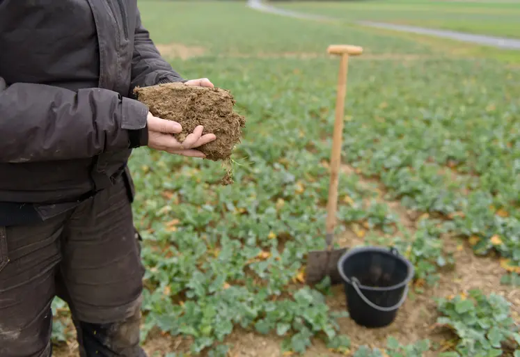 <em class="placeholder">Prélèvement d&#039;un échantillon de sol pour une analyse en février 2021 dans un champ de colza en Seine-et-Marne</em>