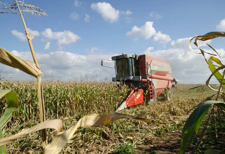 <em class="placeholder">Récolte d&#039;un champ de maïs grain avec une moissonneuse batteuse</em>