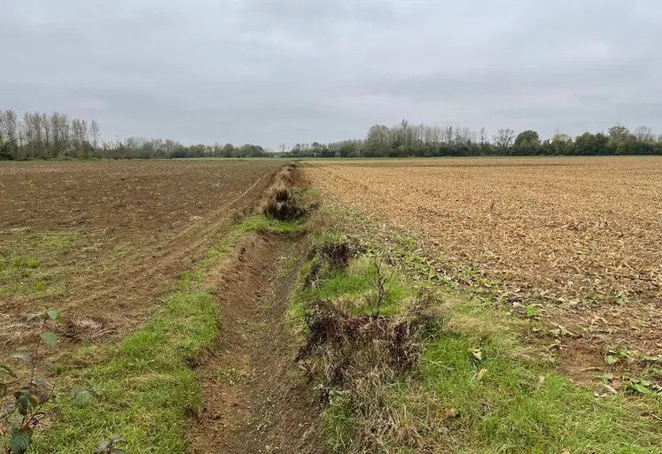 <em class="placeholder">Un fossé non entretenu ne joue pas son rôle d&#039;évacuation rapide de l&#039;eau quand une inondation survient.</em>