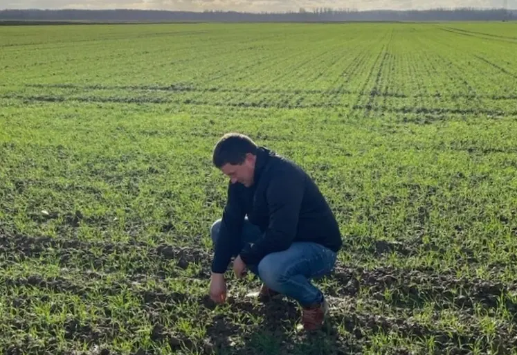 <em class="placeholder">Thibault Degay, 210 hectares de cultures à La Loye (Jura)&quot;Sur une variété tolérante aux maladies comme LG Absalon, on peut se permettre d’attendre le stade dernière ...</em>