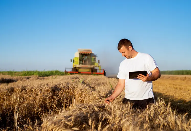 <em class="placeholder">Young agronomist man standing in a golden wheat field with tablet and checking quality while combine harvester working behind.</em>