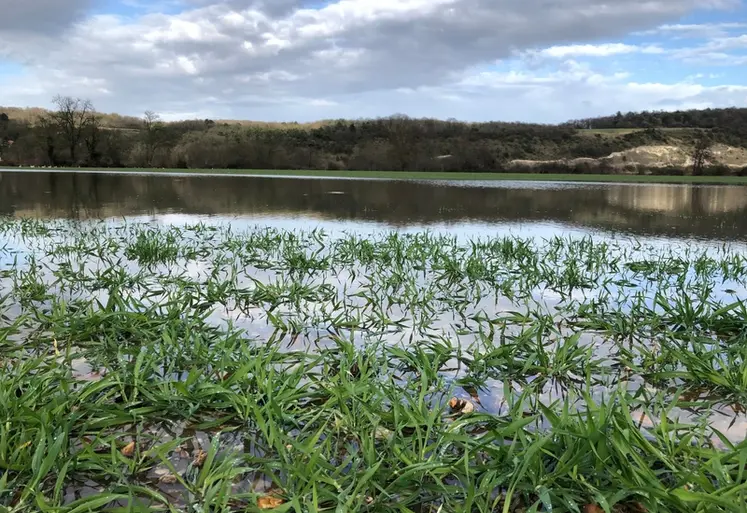 <em class="placeholder">Mars 2020, parcelle de céréales inondée dans l&#039;Eure suite à de fortes pluies.</em>