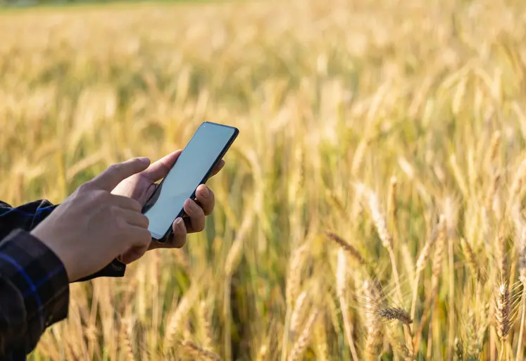 Agriculteur avec son smartphone dans son champ de blé