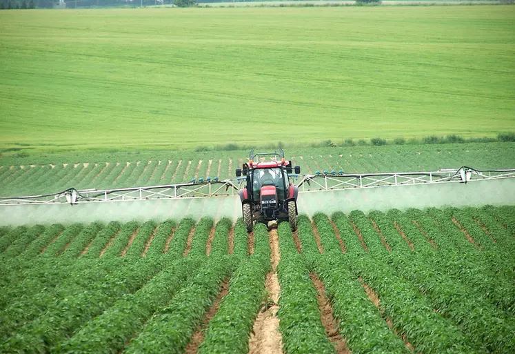 <em class="placeholder">Application d&#039;un fongicide sur pomme de terre pour lutter contre le mildiou. Traitement phytosanitaire.  Tracteur, pulvérisateur et rampe. Prévention des maladies des ...</em>