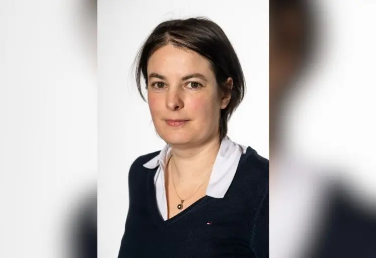 <em class="placeholder">Violaine Bault, hydrogéologue au BRGM</em>