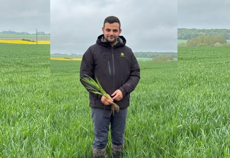 <em class="placeholder">Antoine Prévost, exploitant agricole à Foucherolles, dans son champ de blé au printemps 2025.</em>
